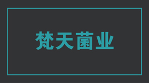 食品行业南京冲锋衣设计款式